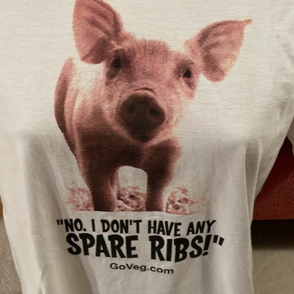 🐷🐖🐽NWOT GoVeg.com Piggy short sleeve shirt by American Apparel - Picture 1 of 4